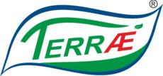 Logo Terrae